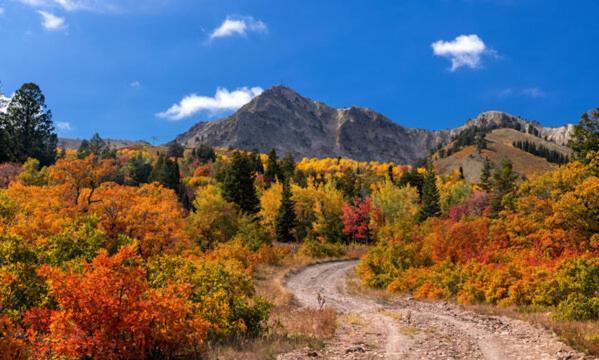 Wolf Creek Lodge Condo In Eden, Ut - Relaxing Mountain Retreat Esterno foto